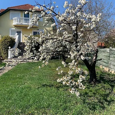 Guest house Haus Kristina 3*