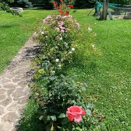 Haus Kristina Pensionat 3*