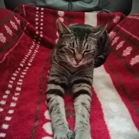 Haus Kristina Gæstehus