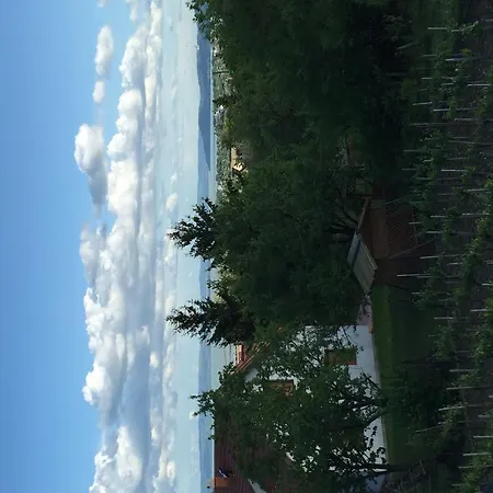 Guest house Haus Kristina 3*
