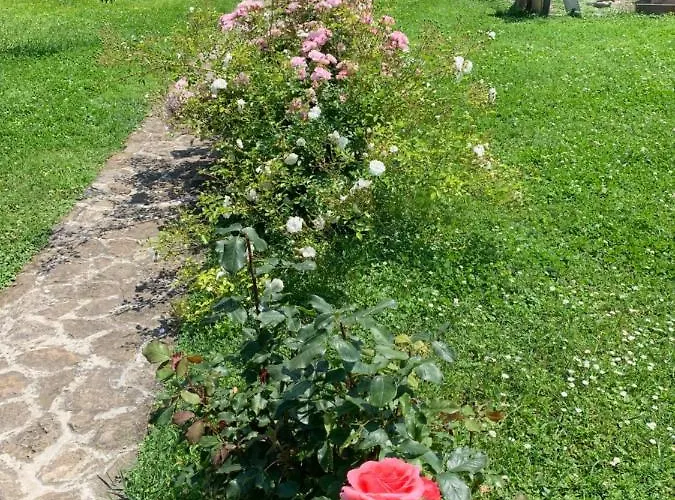 Haus Kristina בית הארחה 3*