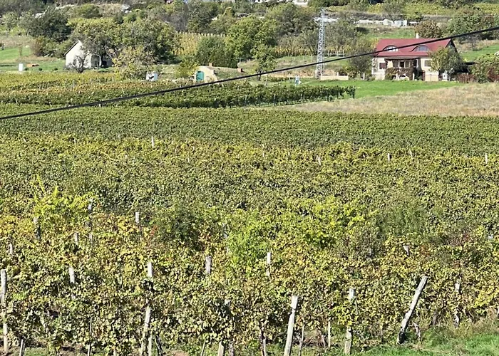 Haus Kristina בית הארחה